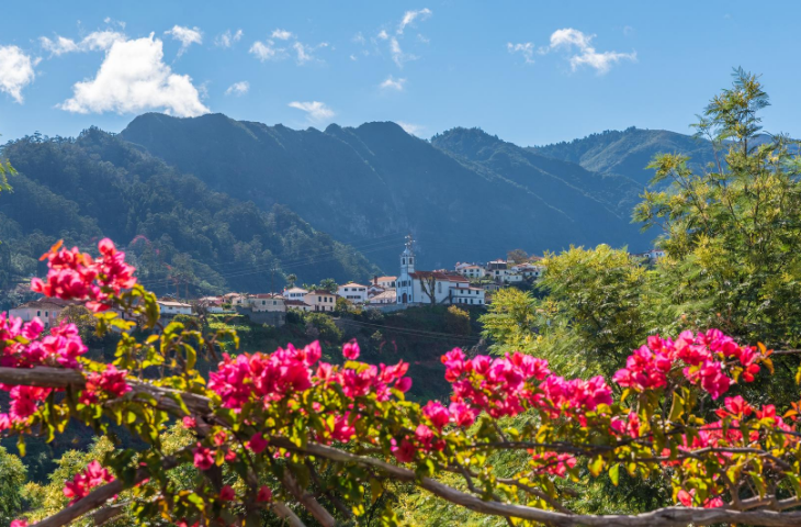 Von Blumen und Wein auf Madeira
