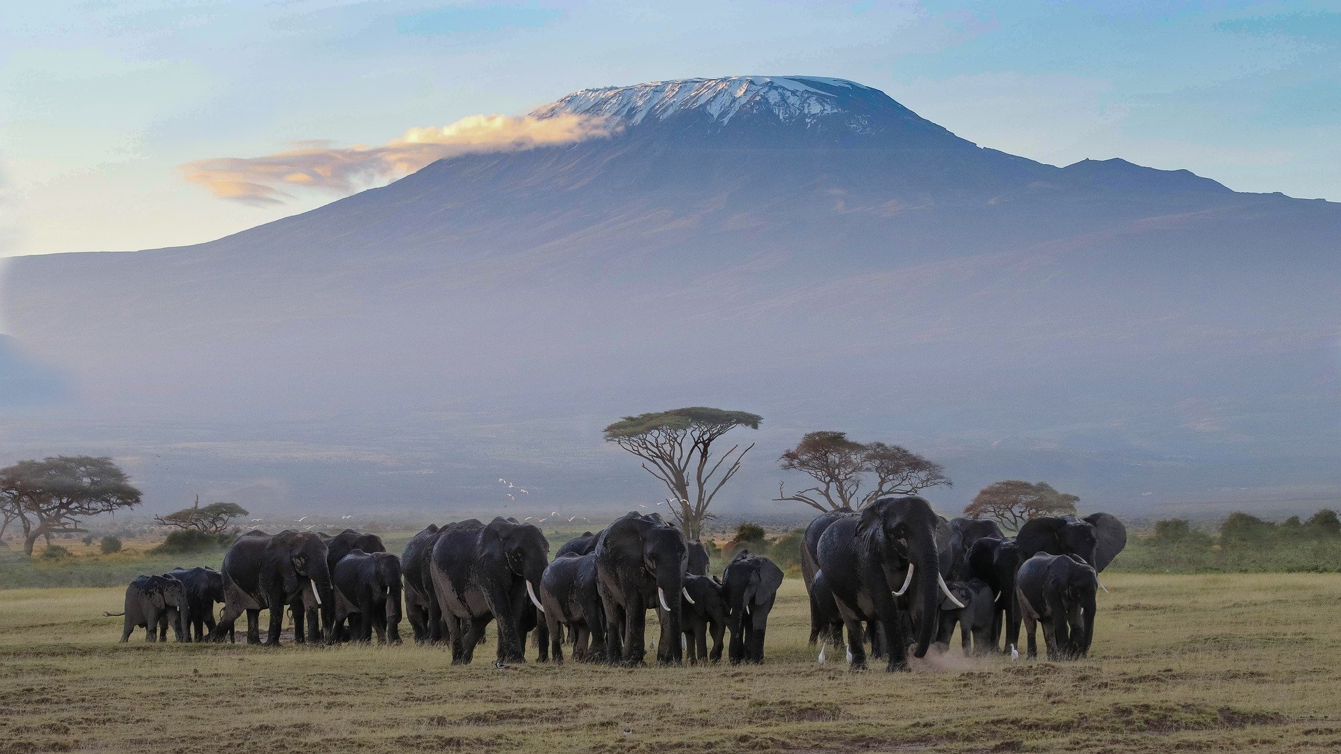 Enchanting Travels Kenia erhält Travelife-Partnerstatus