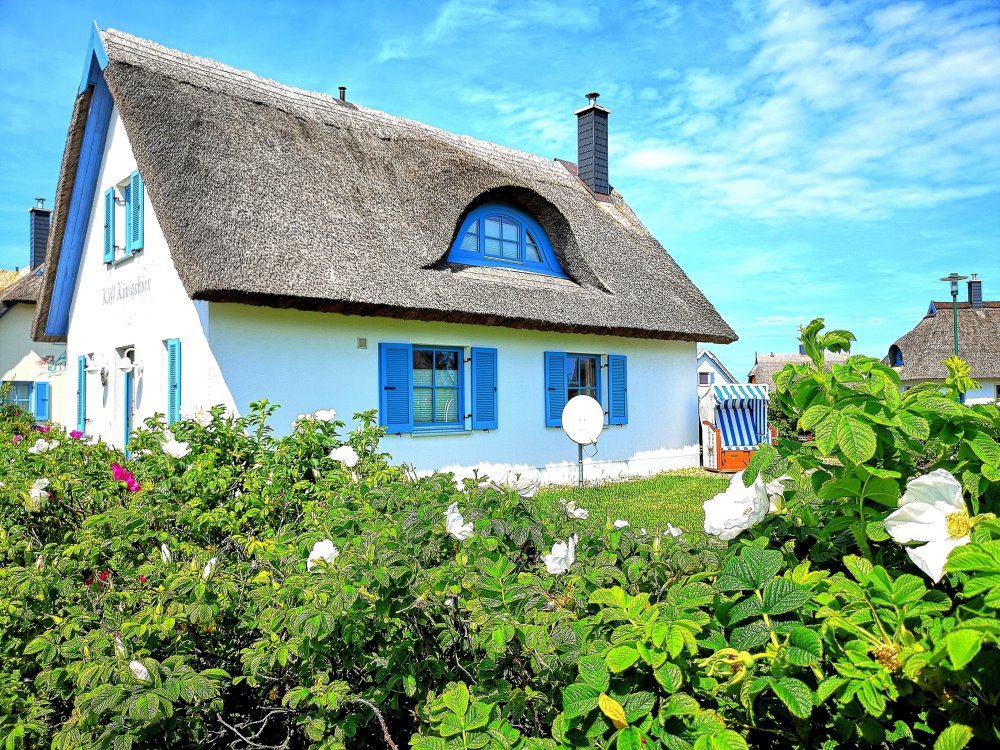 Ferienhäuser Reethäuser Strandwohnungen Insel Rügen direkt beim Eigentümer buchen spart Gebühren und Kosten