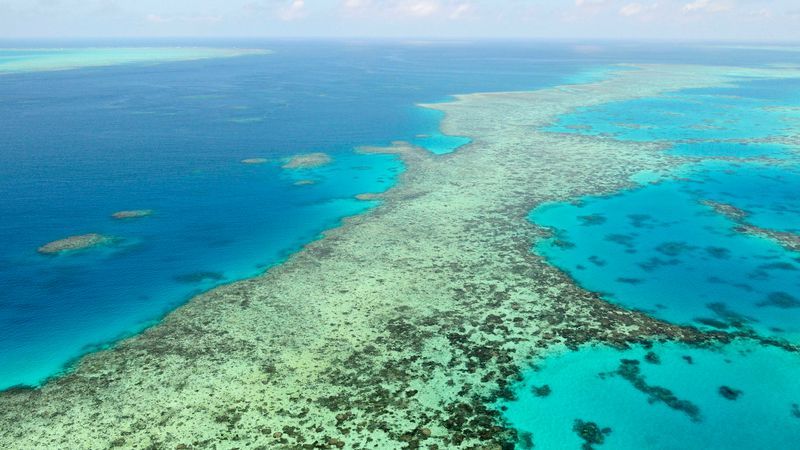Verliert das Great Barrier Reef jetzt den Welterbe-Status?