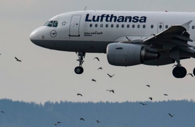 Lufthansa erwartet starkes Reisejahr und Kriegsprobleme