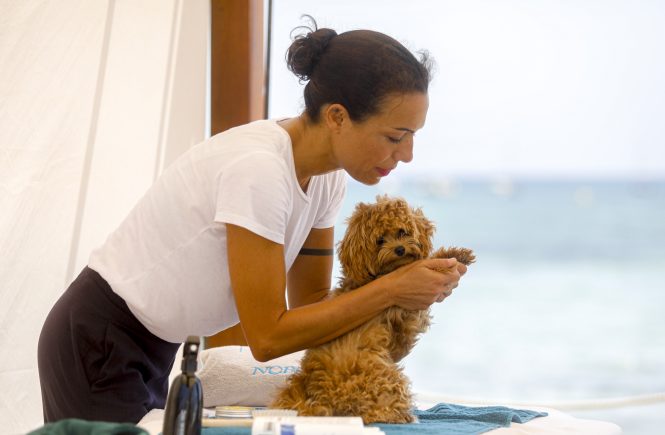 Nobu Hotel Ibiza Bay eröffnet ersten Hunde-Spa auf den Balearen