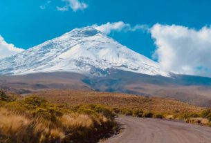 Naturparadies Ecuador: SunTrips erweitert Reiseprogramm