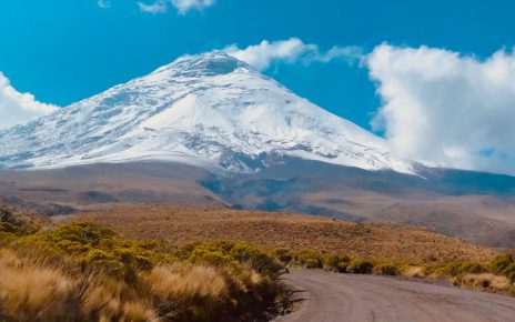 Naturparadies Ecuador: SunTrips erweitert Reiseprogramm