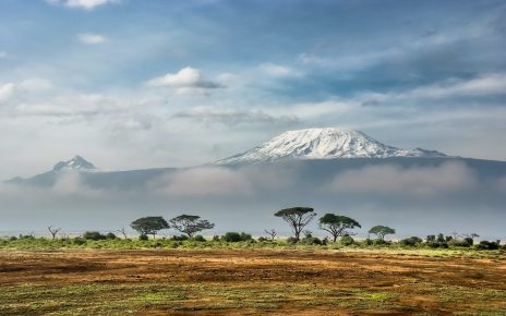 Unvergessliche Safaris und Traumstrände: SunTrips erweitert Kenia-Angebot