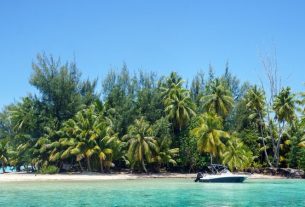 Tipps rund um die Flitterwochen