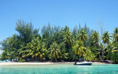 Tipps rund um die Flitterwochen