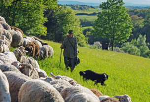 Ausblick 2024: Neues und Geliebtes vom Vulkan
