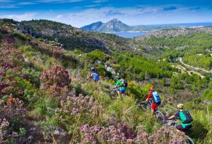 Calvià: Ganzjähriger Tourismus aus Mallorca