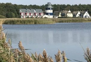 Deichhaus No 1 direkt auf dem Deich bis 6 Personen Urlaub mit Hund 20 % Rabatt auf den Mietpreis