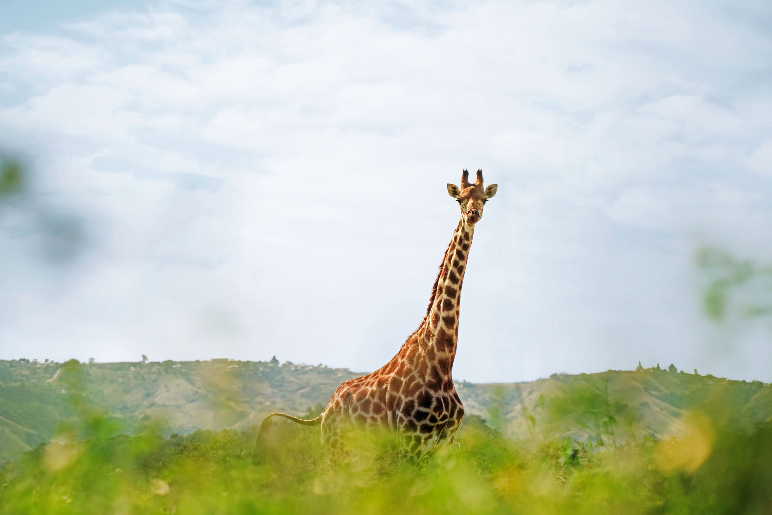 Leinen los für die siebte AIDA Weltreise 