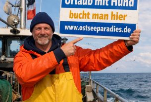 Urlaub auch mit mehreren Hunden großes Grundstück eingezäunt