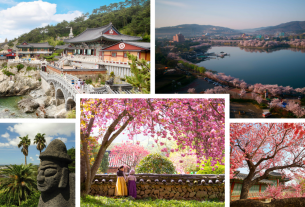Kirschblüten sind im Trend: Die Lieblingsziele deutscher Reisender in Südkorea