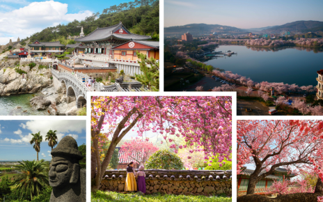 Kirschblüten sind im Trend: Die Lieblingsziele deutscher Reisender in Südkorea