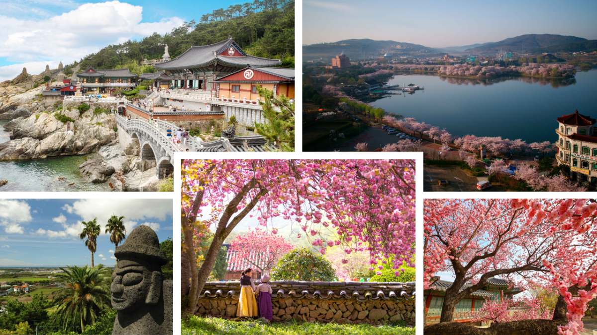 Kirschblüten sind im Trend: Die Lieblingsziele deutscher Reisender in Südkorea
