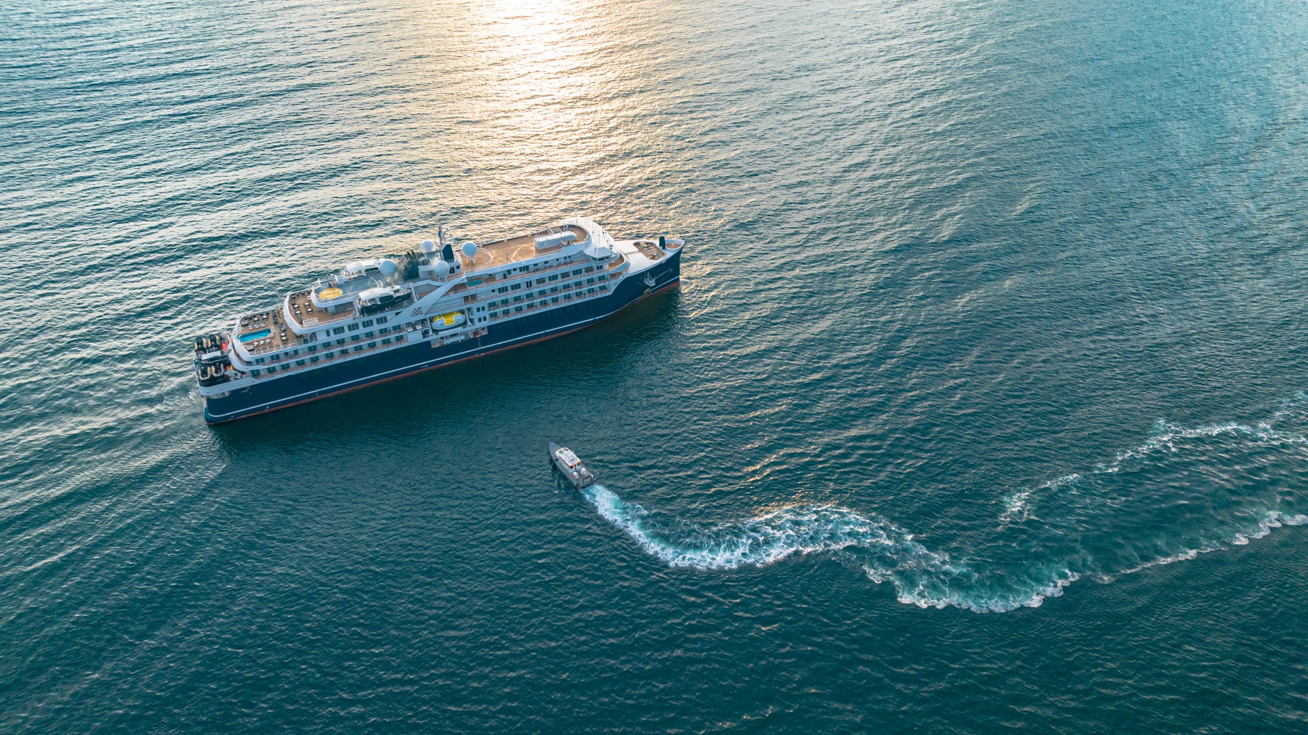 Kreuzfahrt von Kap zu Kap: Für die Forschung Wale beobachten