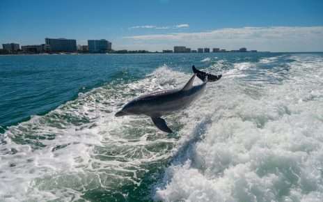 Mehr erleben, weniger ausgeben: Mit dem FunShine Savings Passport in St. Pete-Clearwater sparen