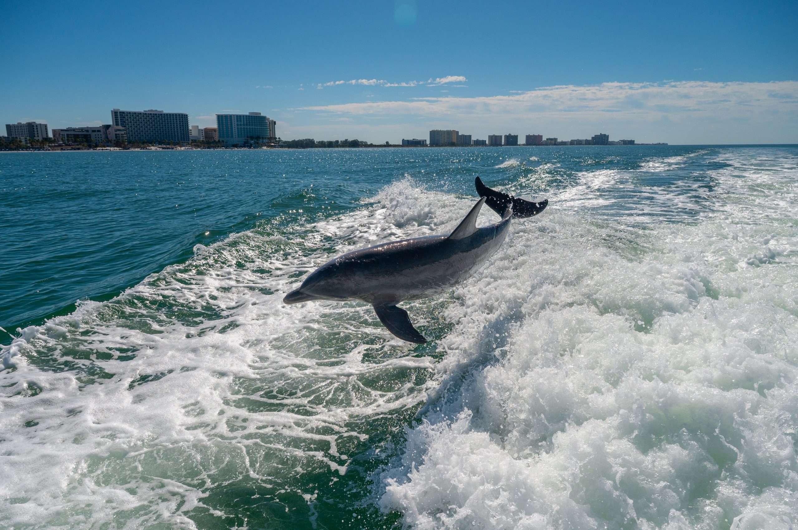 Mehr erleben, weniger ausgeben: Mit dem FunShine Savings Passport in St. Pete-Clearwater sparen