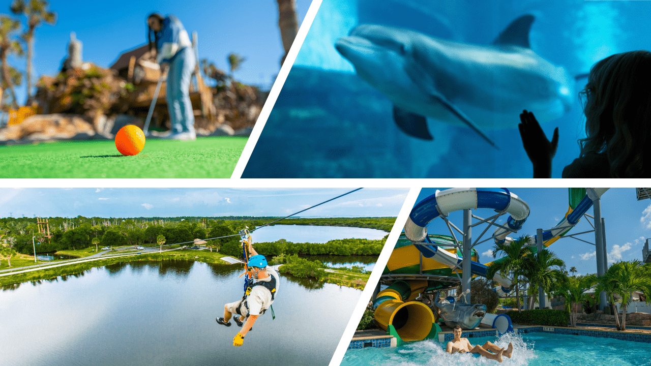 Mehr als Strand und Meer: Familienabenteuer in St. Pete-Clearwater