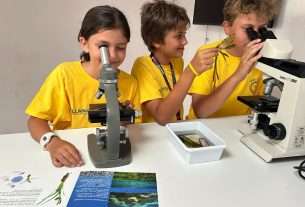 Die MSC Foundation und die Asociación Vellmarí starten „Shallow Bays of the Mediterranean“, ein neues Programm zur Wiederherstellung von Posidonia-Seegraswiesen im Mittelmeer