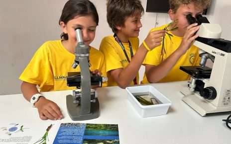 Die MSC Foundation und die Asociación Vellmarí starten „Shallow Bays of the Mediterranean“, ein neues Programm zur Wiederherstellung von Posidonia-Seegraswiesen im Mittelmeer