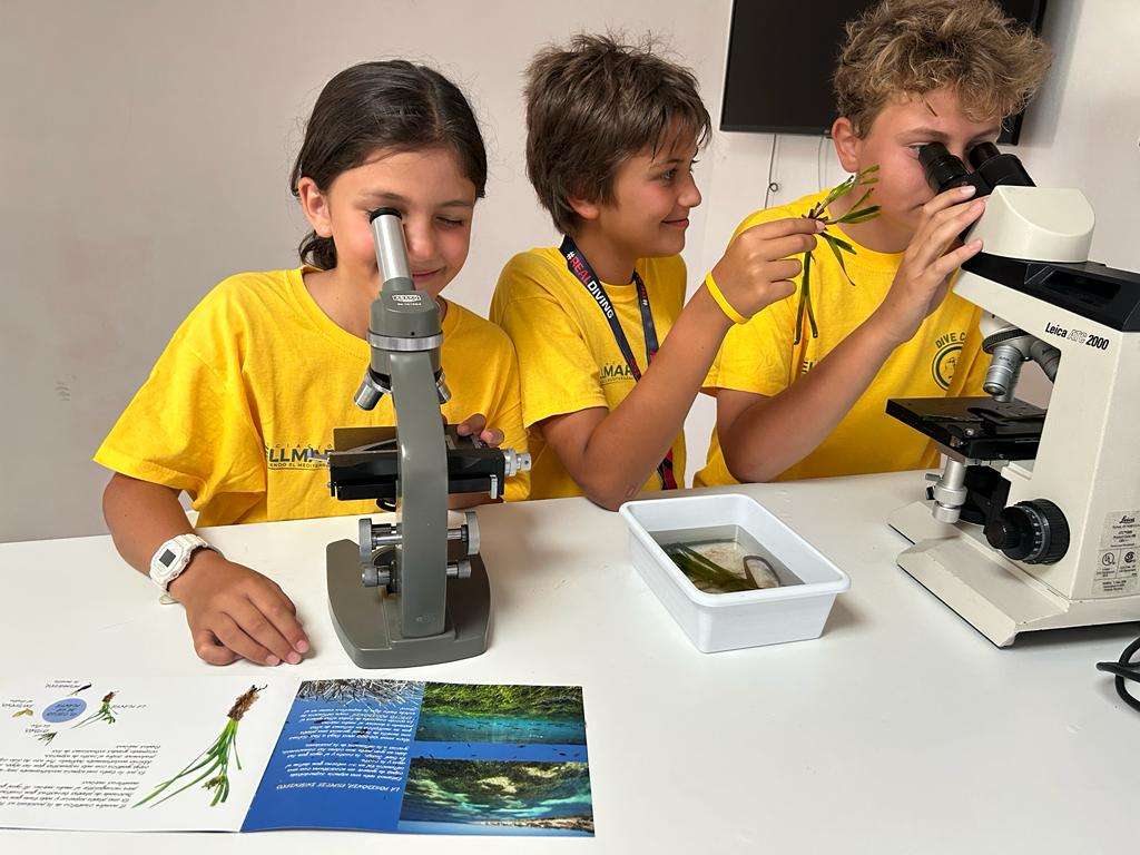 Die MSC Foundation und die Asociación Vellmarí starten „Shallow Bays of the Mediterranean“, ein neues Programm zur Wiederherstellung von Posidonia-Seegraswiesen im Mittelmeer